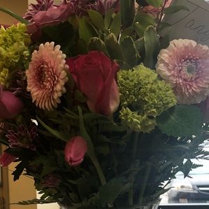 Meet your Posher, Tanya